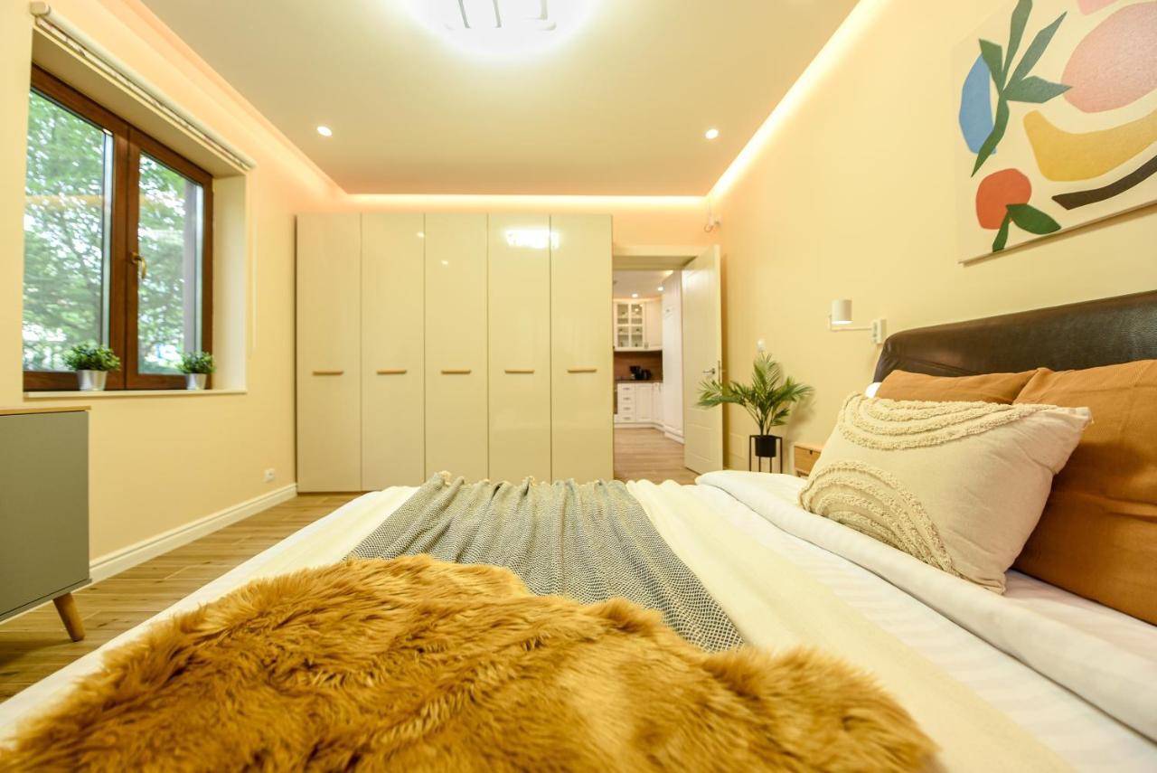 Vine Leaf - Ideal Brasov 2 BR Apartment Eksteriør billede