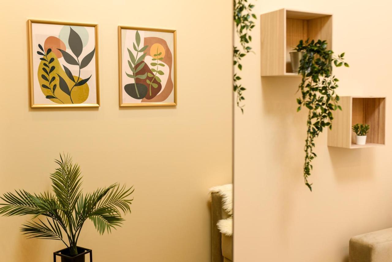 Vine Leaf - Ideal Brasov 2 BR Apartment Eksteriør billede