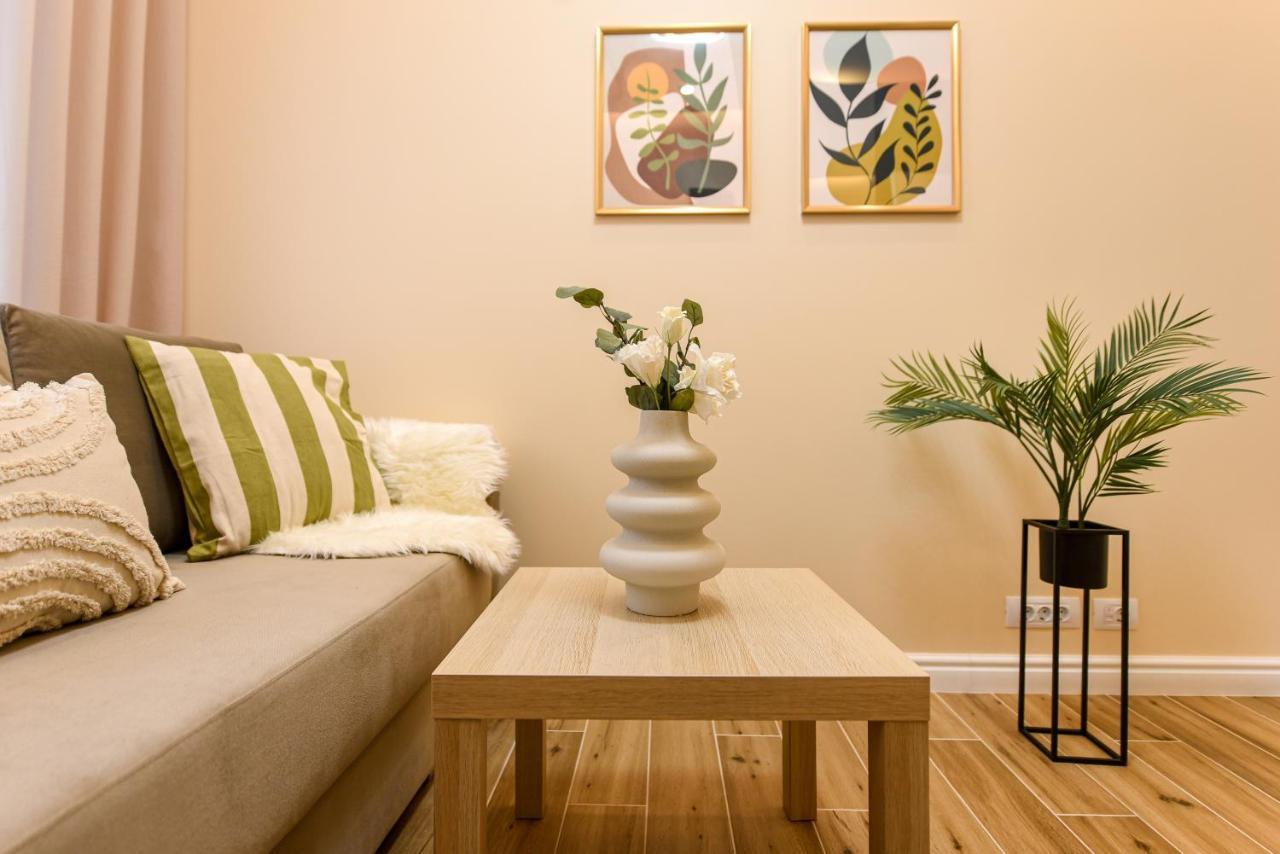 Vine Leaf - Ideal Brasov 2 BR Apartment Eksteriør billede