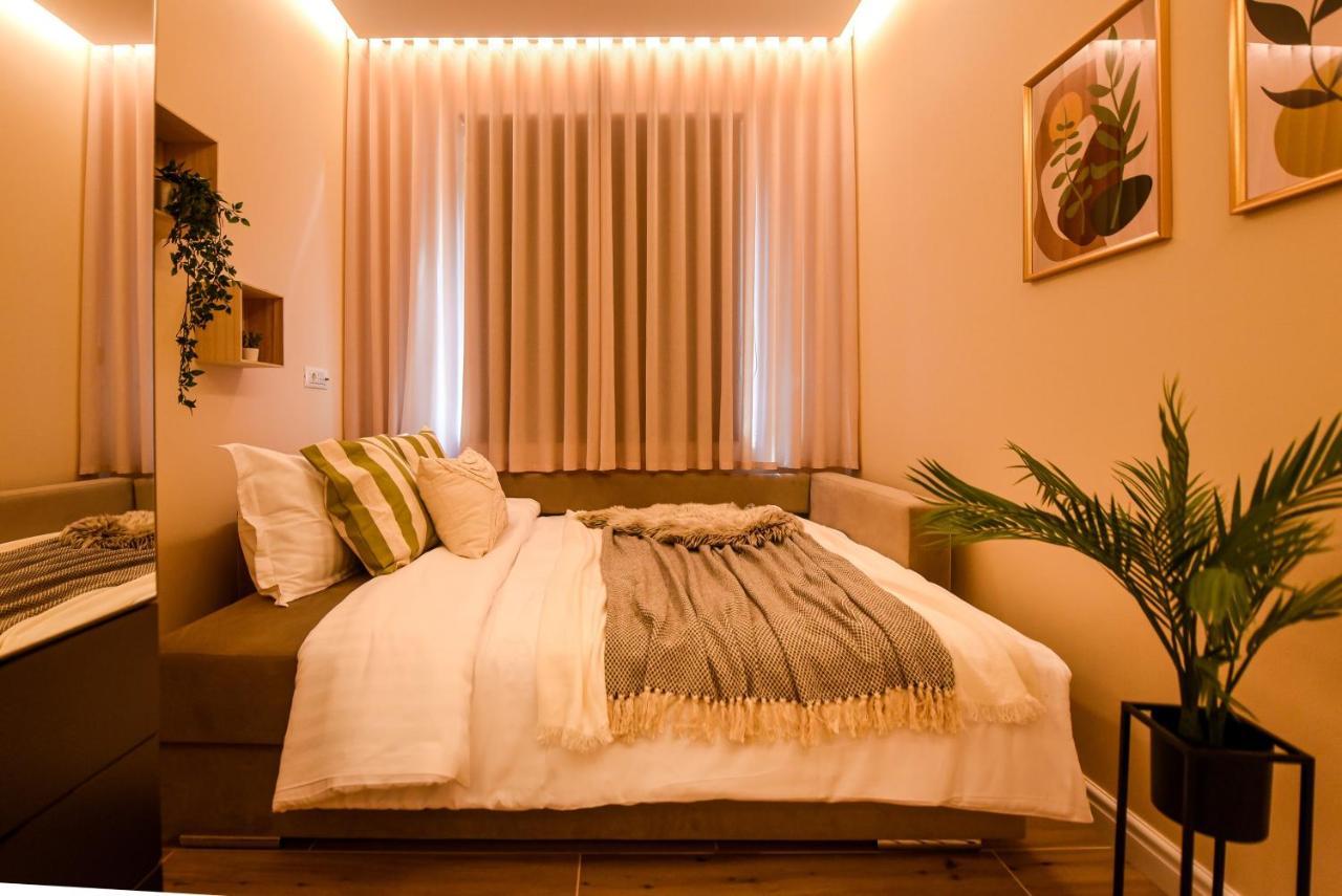 Vine Leaf - Ideal Brasov 2 BR Apartment Eksteriør billede