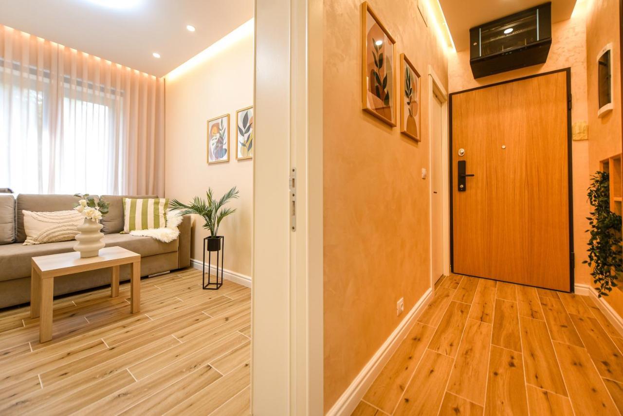 Vine Leaf - Ideal Brasov 2 BR Apartment Eksteriør billede