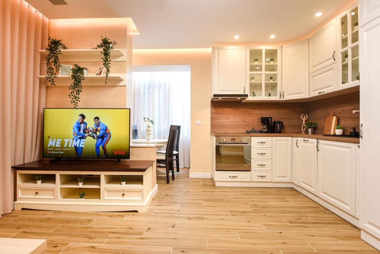 Vine Leaf - Ideal Brasov 2 BR Apartment Eksteriør billede