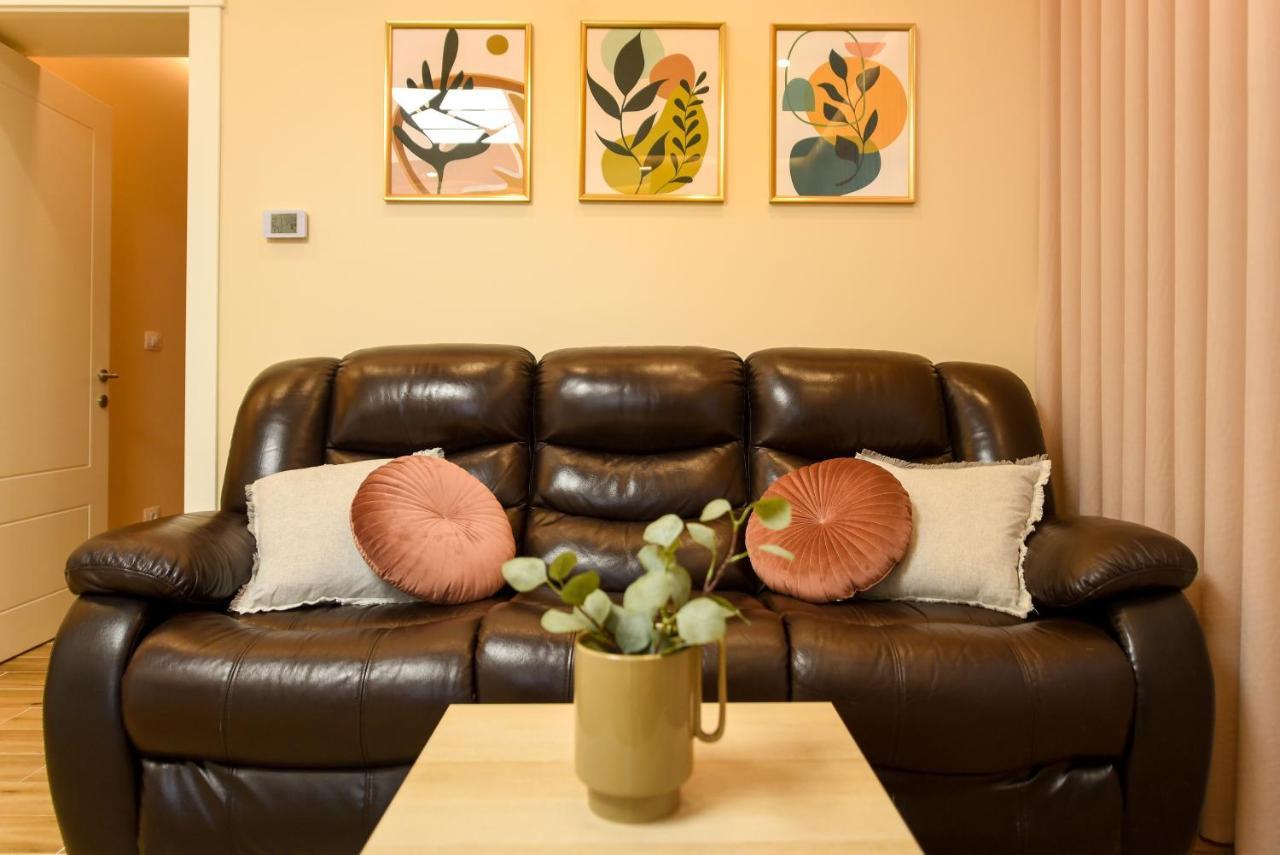 Vine Leaf - Ideal Brasov 2 BR Apartment Eksteriør billede