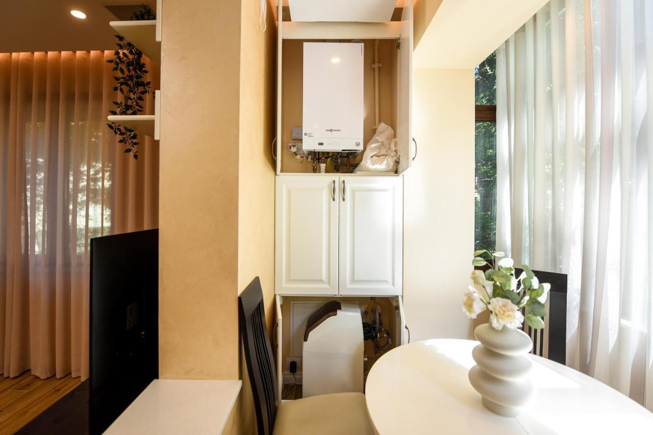 Vine Leaf - Ideal Brasov 2 BR Apartment Eksteriør billede